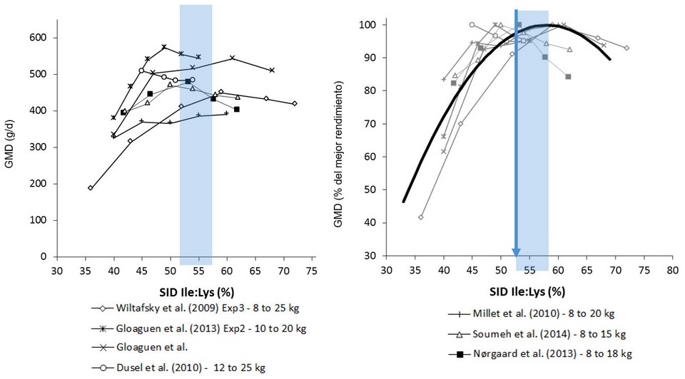Dietas bajas en proteína y necesidades de isoleucina en lechones - Image 1