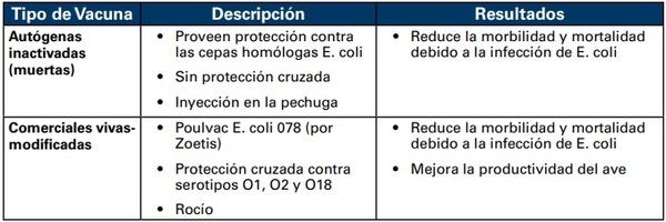 COLIBACILOSIS EN PONEDORAS: UN RESUMEN - Image 9