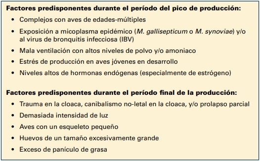 COLIBACILOSIS EN PONEDORAS: UN RESUMEN - Image 2