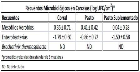 Microorganismos indicadores de calidad higiénica de carnes en novillos criados bajo distintos sistemas de producción - Image 4