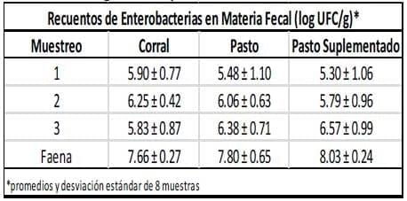 Microorganismos indicadores de calidad higiénica de carnes en novillos criados bajo distintos sistemas de producción - Image 1
