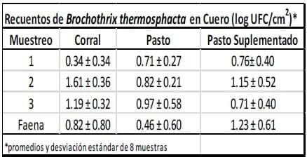 Microorganismos indicadores de calidad higiénica de carnes en novillos criados bajo distintos sistemas de producción - Image 3