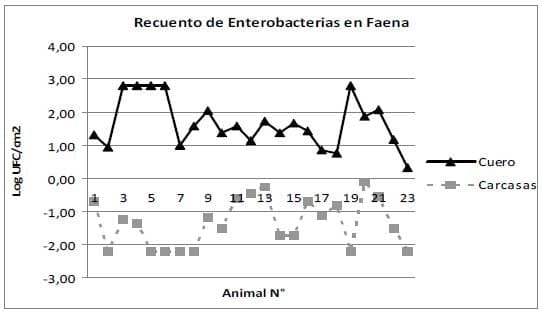Microorganismos indicadores de calidad higiénica de carnes en novillos criados bajo distintos sistemas de producción - Image 5