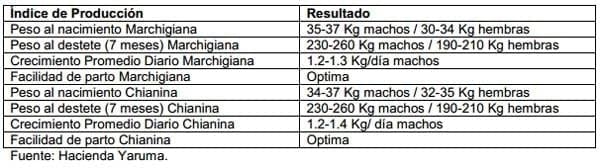 Razas italianas permiten reducir tiempo de ceba - Image 2