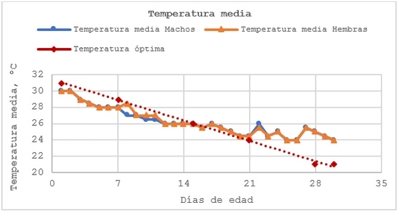 Efecto de BacterActive sobre el rendimiento productivo de pollos de engorde y la presencia de Salmonella spp. - Image 2