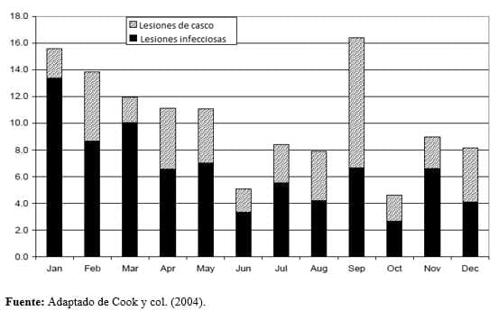 Aporte adecuado de carbohidratos durante periodos de estrés por calor - Image 3