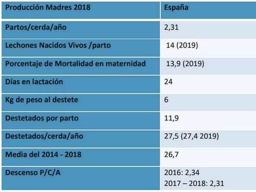 Quien debe criar a los lechones es la madre - Image 1
