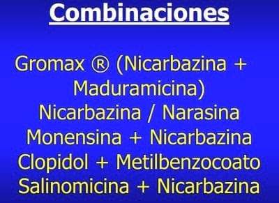 Importancia de la Salud intestinal en las aves y diseño de programas anticcocidiales - Image 8
