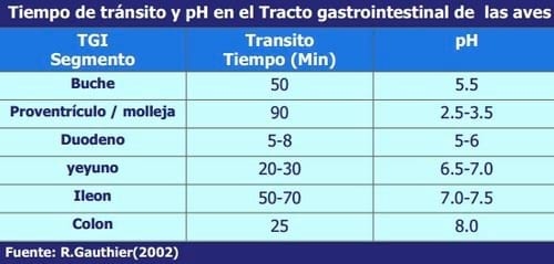 Importancia de la Salud intestinal en las aves y diseño de programas anticcocidiales - Image 1