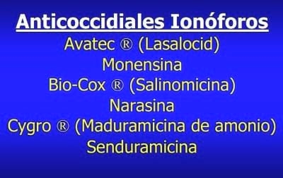 Importancia de la Salud intestinal en las aves y diseño de programas anticcocidiales - Image 7