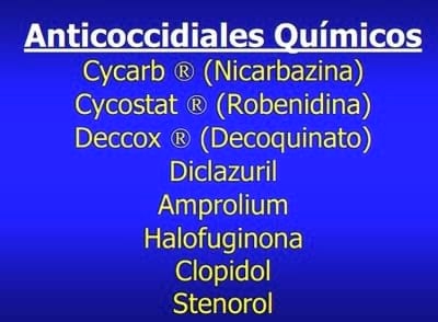 Importancia de la Salud intestinal en las aves y diseño de programas anticcocidiales - Image 6