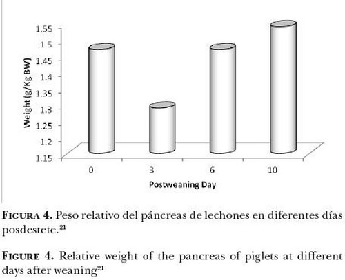 Cambios nutrimentales en el lechón y desarrollo morfo-fisiológico de su aparato digestivo - Image 4