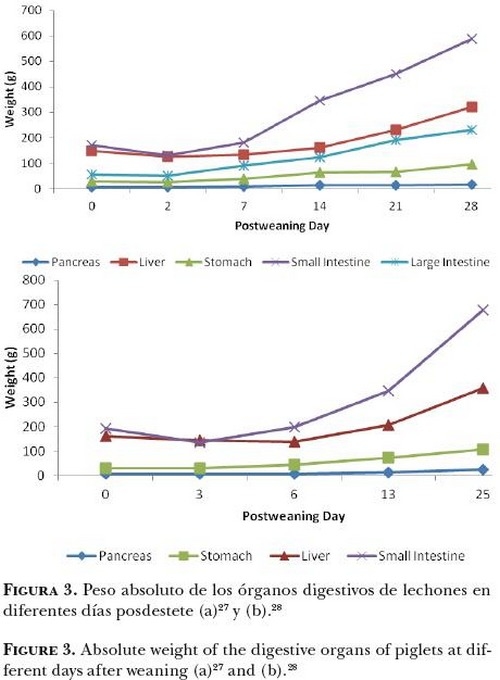 Cambios nutrimentales en el lechón y desarrollo morfo-fisiológico de su aparato digestivo - Image 3