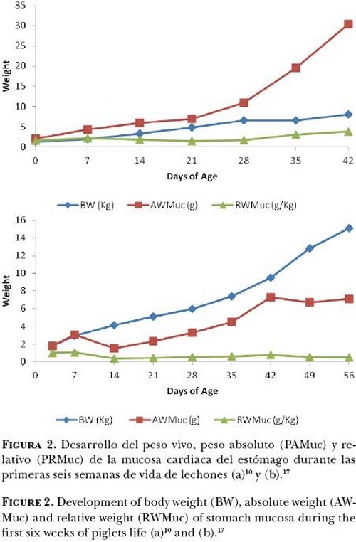 Cambios nutrimentales en el lechón y desarrollo morfo-fisiológico de su aparato digestivo - Image 2