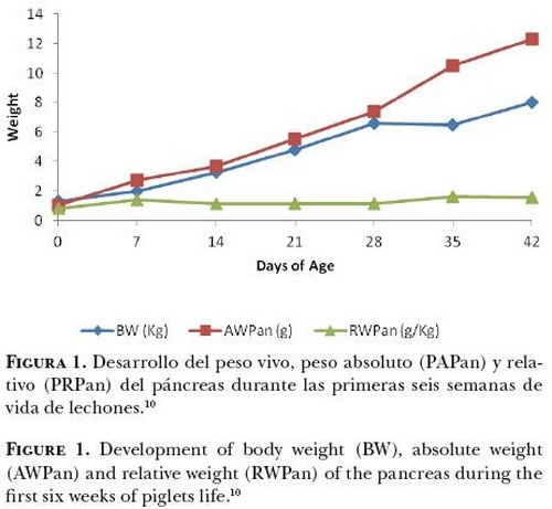 Cambios nutrimentales en el lechón y desarrollo morfo-fisiológico de su aparato digestivo - Image 1