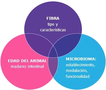 Estimbióticos: un elemento esencial de las estrategias de resiliencia nutricional - Image 1