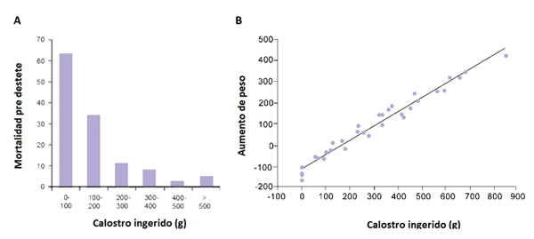 Figura 1. Efecto de la cantidad de calostro ingerida en las primeras 24 horas de vida en a) incidencia de mortalidad pre destete (Quesnel et.al.2012) y b) aumento de peso del lechón en las primeras 24 horas (Devillers et.al.2004)