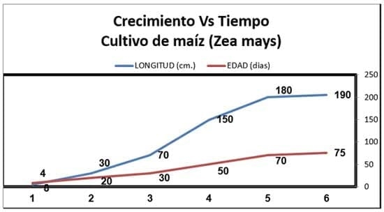 Producción de Forrajes Aplicado a La Alimentación Animal Ensilaje de Maíz (ZeaMays), Orgánico - Sostenible. - Image 17