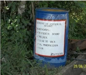 Producción de Forrajes Aplicado a La Alimentación Animal Ensilaje de Maíz (ZeaMays), Orgánico - Sostenible. - Image 5