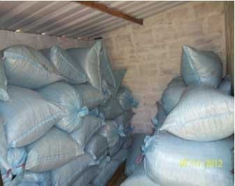 Producción de Forrajes Aplicado a La Alimentación Animal Ensilaje de Maíz (ZeaMays), Orgánico - Sostenible. - Image 20