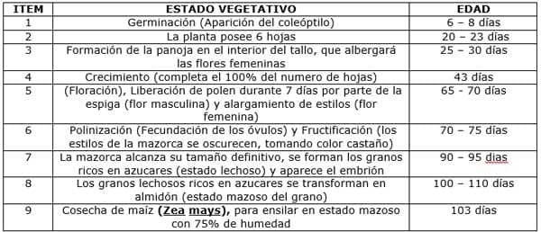 Producción de Forrajes Aplicado a La Alimentación Animal Ensilaje de Maíz (ZeaMays), Orgánico - Sostenible. - Image 11