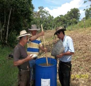 Producción de Forrajes Aplicado a La Alimentación Animal Ensilaje de Maíz (ZeaMays), Orgánico - Sostenible. - Image 6