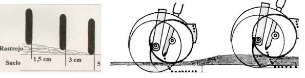 Siembra Directa de trigo con abundante rastrojo - Image 2