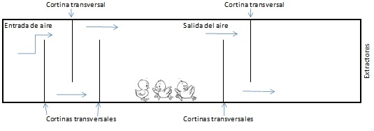 Artículo Nutrimas - Image 6