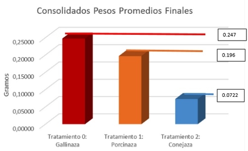 Evaluación de tres sustratos reconstituidos (Gallinaza de piso, porcinaza y conejaza) en el engorde de larva de mosca soldado, Hermetia Illucens, en el Centro Latinoamericano de Especies Menores, CLEM-SENA - Image 1