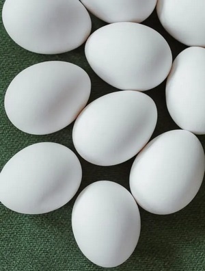 Producción de huevos global: principales tendencias del consumidor y papel que desempeña la nutrición - Image 1