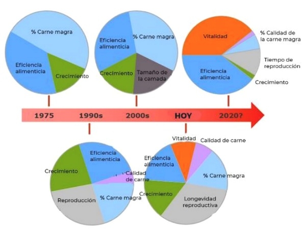 Avances del siglo XXI en la Nutrigenómica Porcina - Image 1