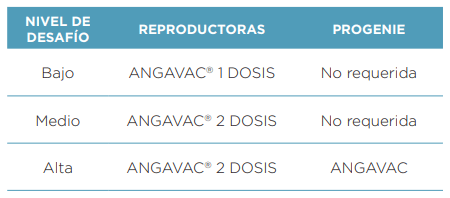 Vacunación en concordancia con el nivel de desafío: