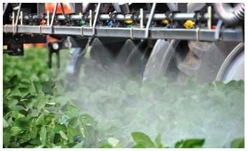 Identificación de defoliadoras y elección de insecticidas. No todo es cuestión de medida - Image 6
