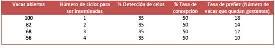 Tasa de preñez en el Ganado Lechero - Image 4