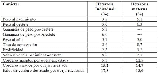  Razas ovinas y su rol en los sistemas de cruzamiento orientados a la producción de carne en la Región de los Lagos - Image 4