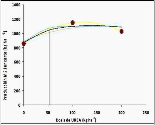 Fertilización y producción de primer corte de distintos verdeos de invierno - Image 5