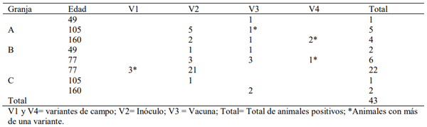 Tabla 2. Número y clasificación de animales positivos a la prueba de RT-PCR en tiempo real, por edad y por granja.