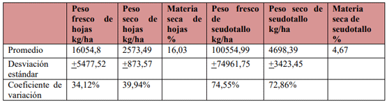 Cuadro 2. Producción de biomasa del banco forrajero de musáceas, Ochomogo, Cartago, 2013.