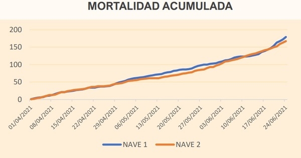 AHORRAR en la dieta de las gallinas ponedoras MANTENIENDO LOS PARÁMETROS PRODUCTIVOS - Image 2