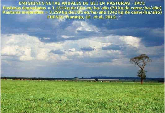 El cambio climático y su mitigación en los sistemas agropecuarios tropicales - Image 5
