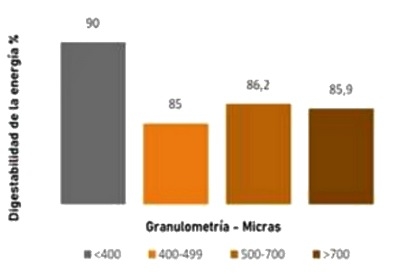 Uso de raciones mini peletizadas para lechones - Image 3