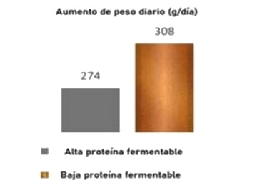 Uso de raciones mini peletizadas para lechones - Image 2