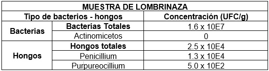 Semilleros para el trasplante mecanizado del arroz. Manejo de Sustratos y densidades de siembra - Image 8