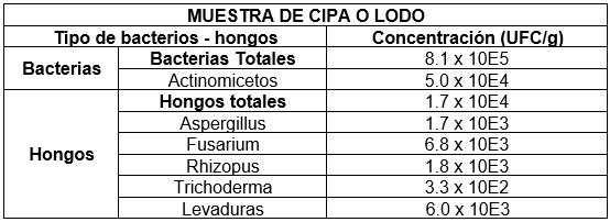 Semilleros para el trasplante mecanizado del arroz. Manejo de Sustratos y densidades de siembra - Image 7