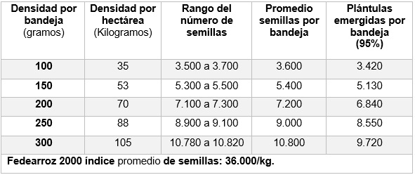 Semilleros para el trasplante mecanizado del arroz. Manejo de Sustratos y densidades de siembra - Image 11