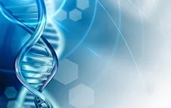 Microbiota fecal, ¿cómo puede influir el manejo en su composición a lo largo del día? - Image 4