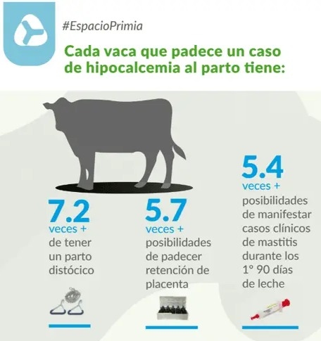 Preparto en tambos ¿Usar Aniónicas o no usar Aniónicas? - Image 1