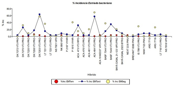 Sanidad de híbridos de maíz en fechas de siembra temprana, tardía y en secuencia con trigo - Image 6
