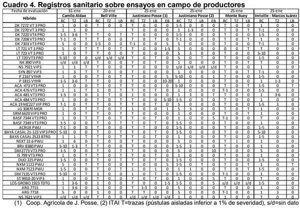 Sanidad de híbridos de maíz en fechas de siembra temprana, tardía y en secuencia con trigo - Image 7