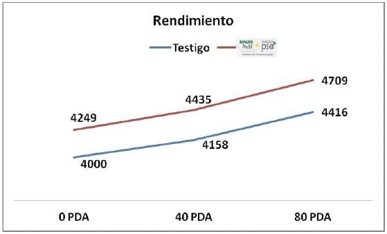 Promotores de Crecimiento y Fertilización en Trigo - Image 7